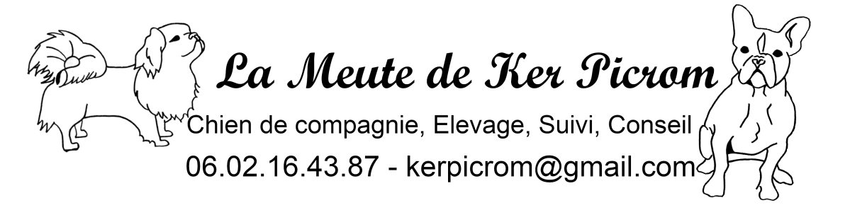 logo élevage canin la meute de ker picrom